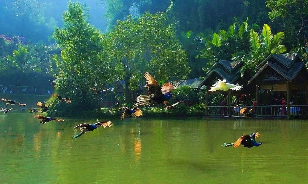 美图秀秀下载2023最新版